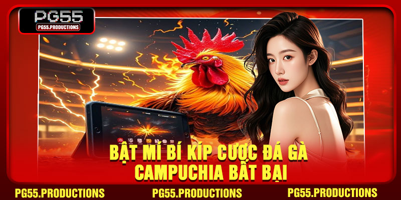 Bật mí bí kíp cược đá gà Campuchia bất bại