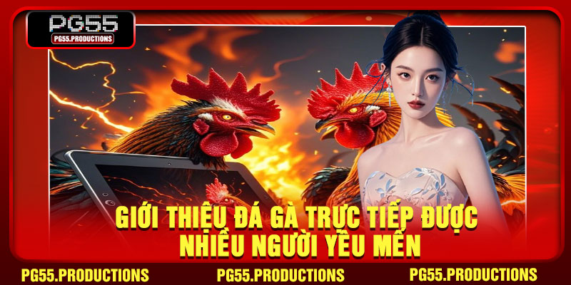 Giới thiệu đá gà trực tiếp được nhiều người yêu mến