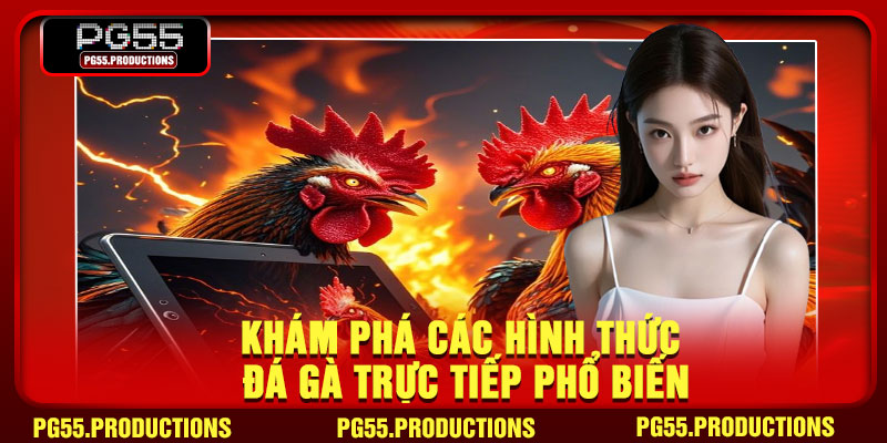 Khám phá các hình thức đá gà trực tiếp phổ biến