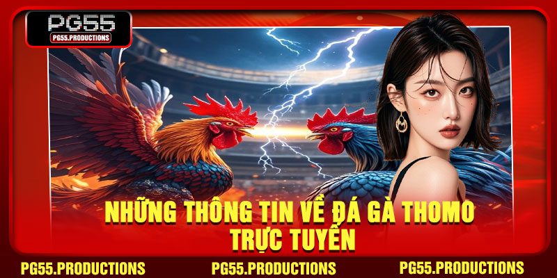 Những thông tin về đá gà Thomo trực tuyến