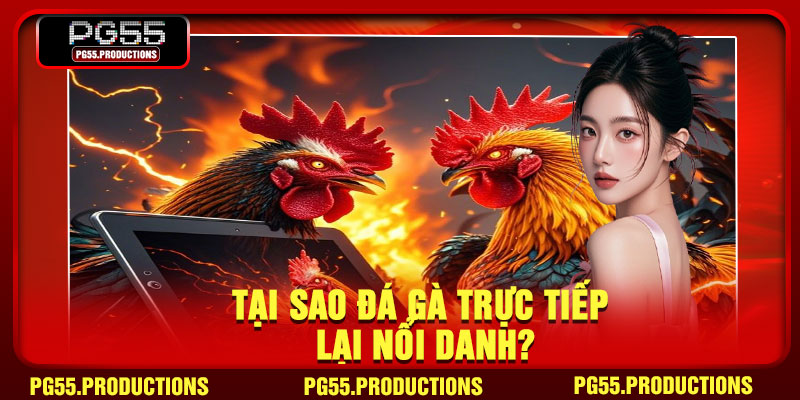 Tại sao đá gà trực tiếp lại nổi danh?