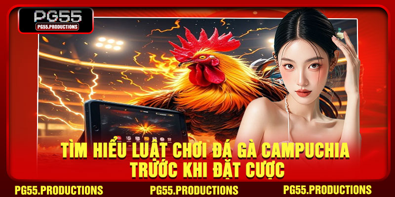 Tìm hiểu luật chơi đá gà Campuchia trước khi đặt cược